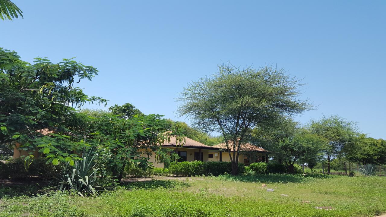 Mikumi Tan-Swiss Lodge מראה חיצוני תמונה